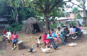 IMG_20211119_150202_3