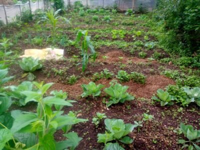 IMG_20231118_071858_364