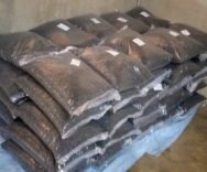 The GEH Farm: A Bumper Harvest in Times of Challenge