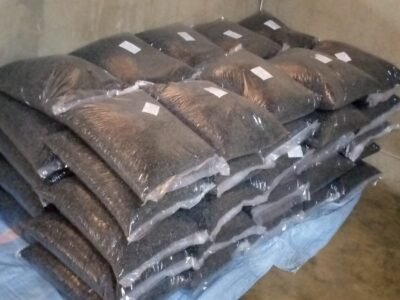 IMG_20250501_131426_923