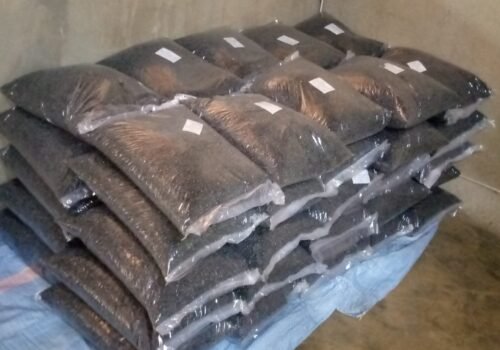 IMG_20250501_131426_923